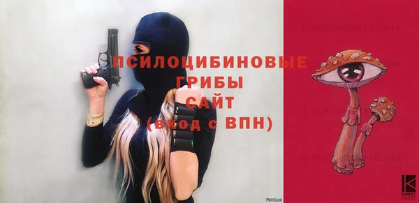 соль ск Бронницы