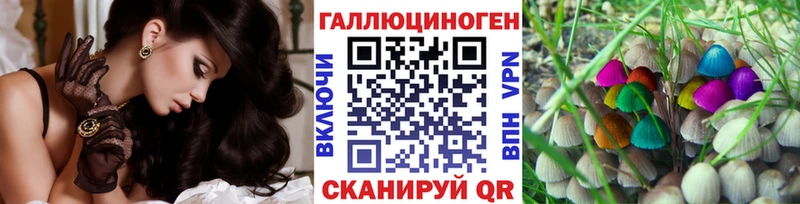 Псилоцибиновые грибы MAGIC MUSHROOMS  как найти закладки  Жиздра 